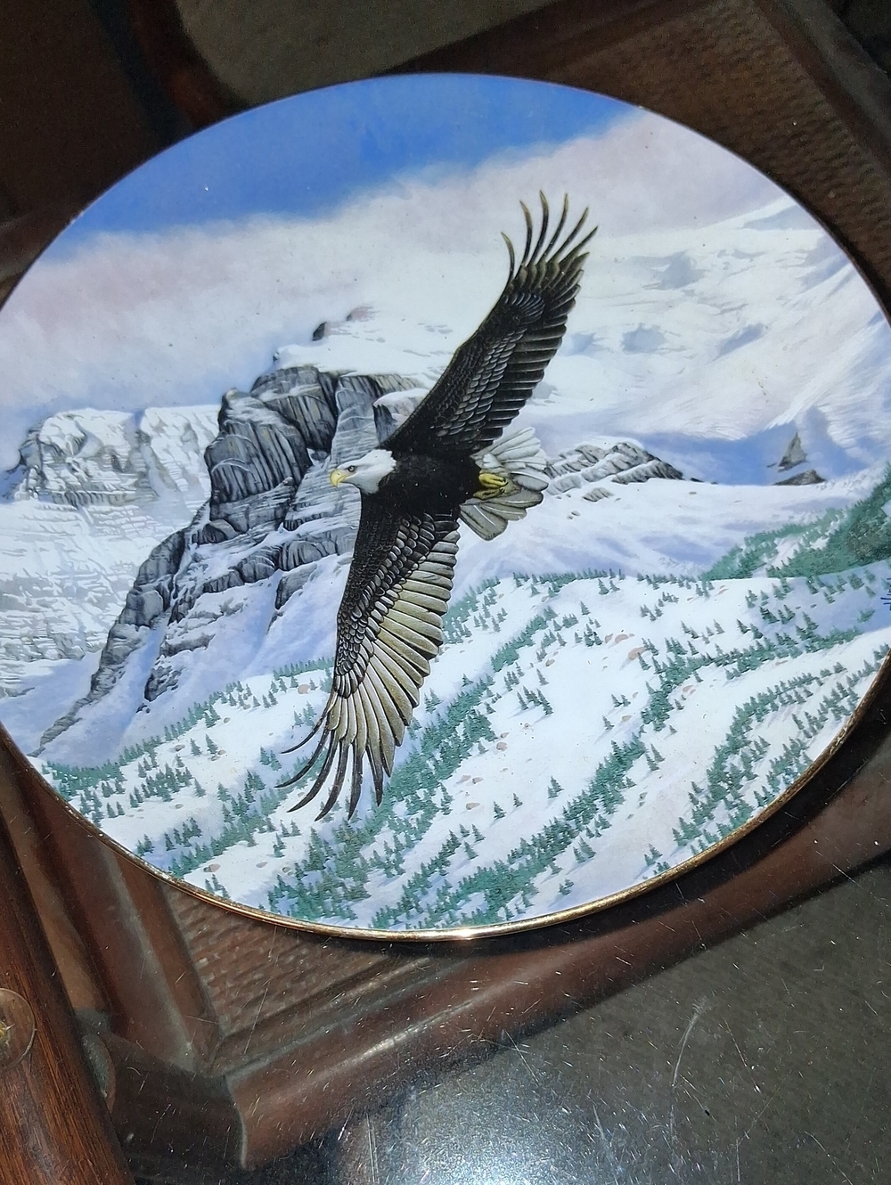 Bald Eagle Mountain Snow Scene Decorative Plate - White & Blue (Sku AB1)